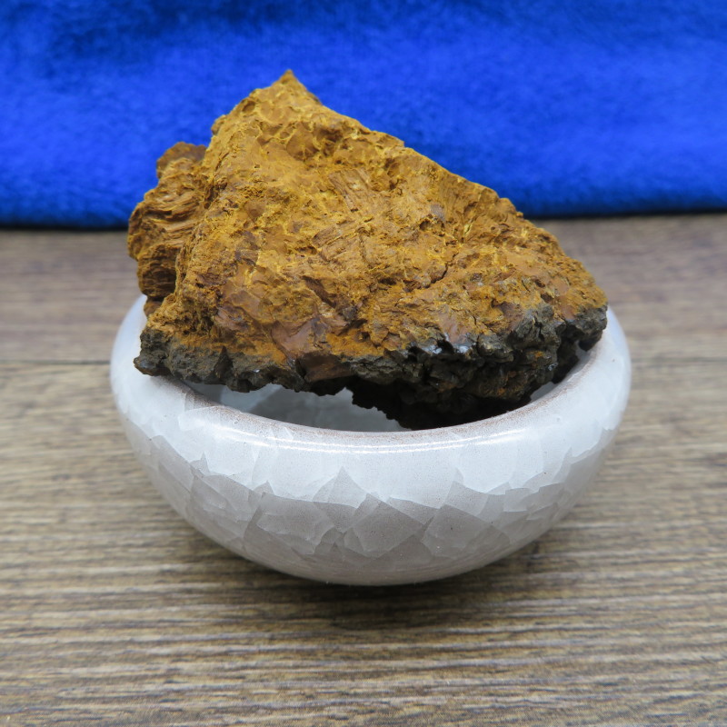 桦树茸白桦树茸桦褐孔菌冷背奇药材批发