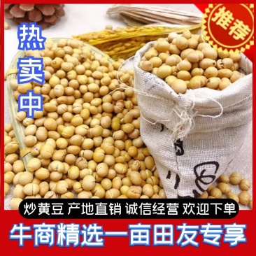 炒黄豆，精品炒黄豆，厂家直发，保质保量，可发全国
