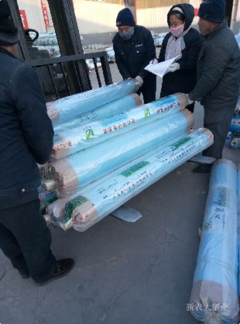 山东聊城西瓜专用膜山东8424西瓜大棚专用膜支持定做
