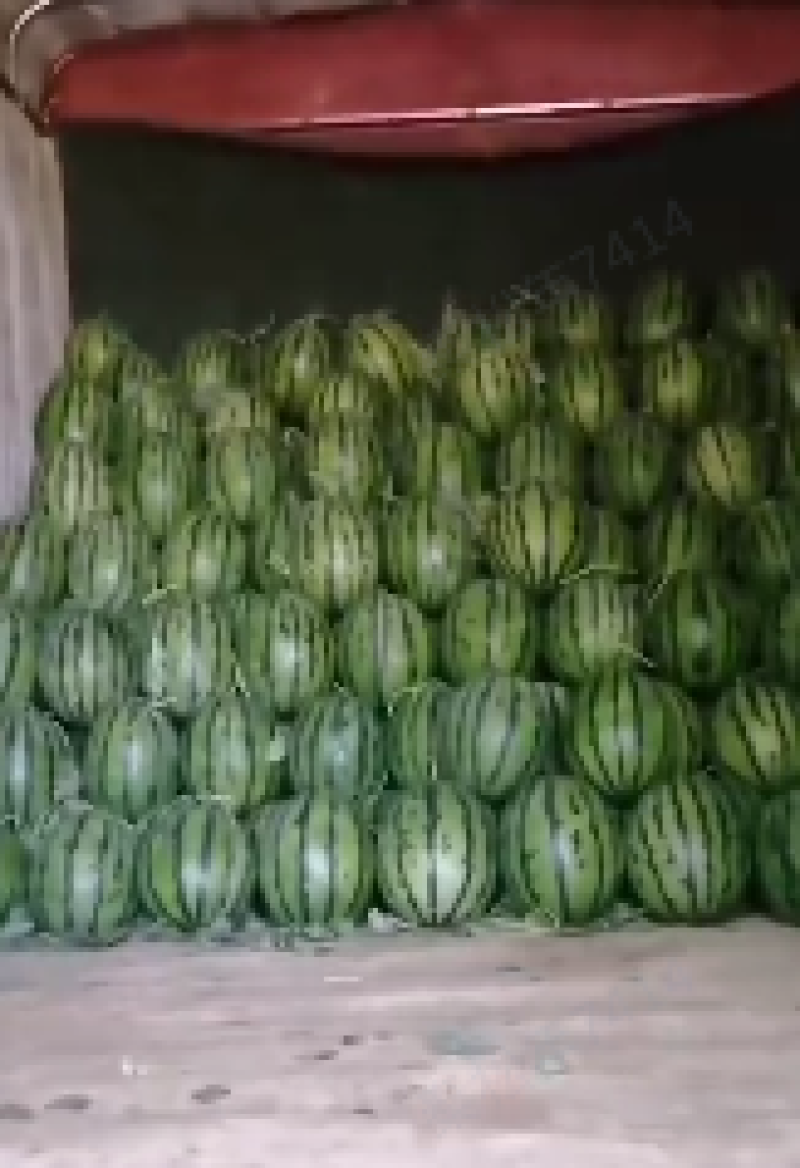精选麒麟西瓜麒麟瓜包红包甜保质量产地直发欢迎老板咨询
