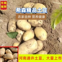 土豆河南土豆希森土豆量大从优产地直销