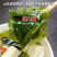 包邮~山东荣成裙带菜，海藻海白菜100g