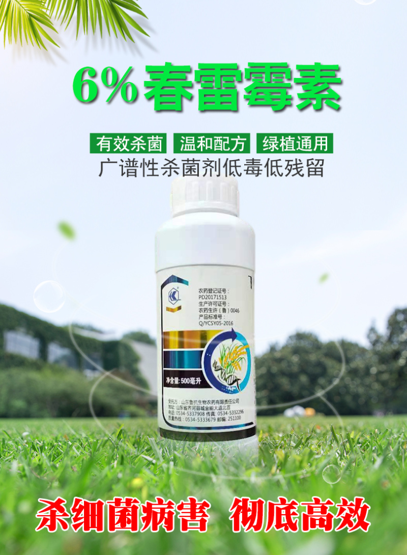 6%春雷霉素防治水稻稻瘟病专用杀菌剂整箱批发