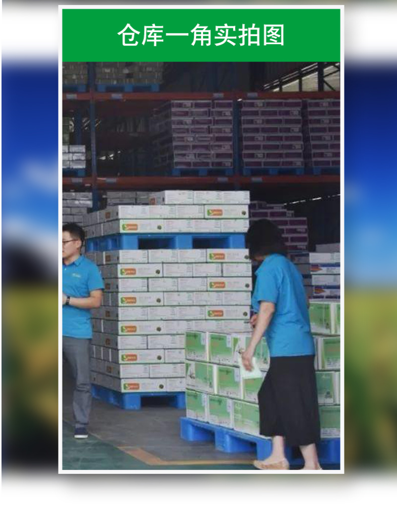 6%春雷霉素防治水稻稻瘟病专用杀菌剂整箱批发