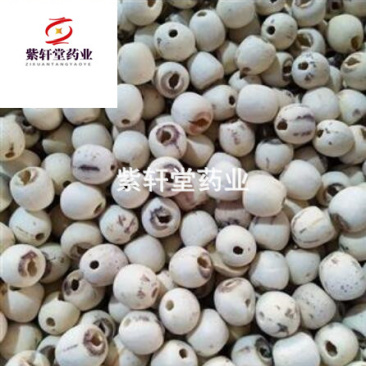白莲子红莲子空芯白莲子产地湖南省