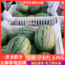 早春红玉2K西瓜，已经进入中期，皮薄瓤色鲜红，包熟包甜全