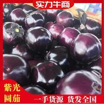 精品紫光圆茄个大型好5两以上货源充足发货全国