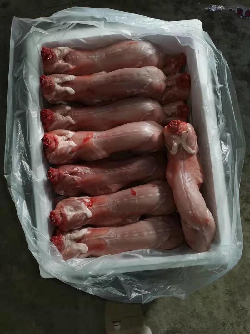【精选】春堂兔公司常年供应生鲜，冷冻去皮兔肉，量大从优！