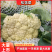 【精品】松花菜白面青梗散花花菜小米粒松花菜保质保量