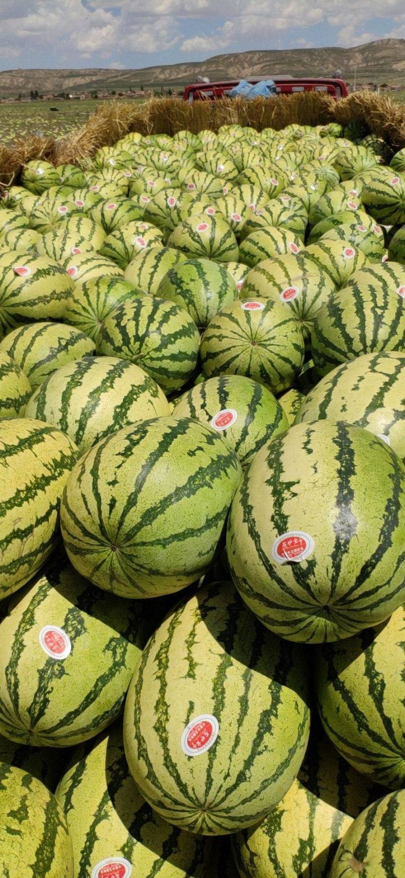 湖北西瓜硒砂瓜石头瓜产地直发大量上市可视频看货欢迎联系下单