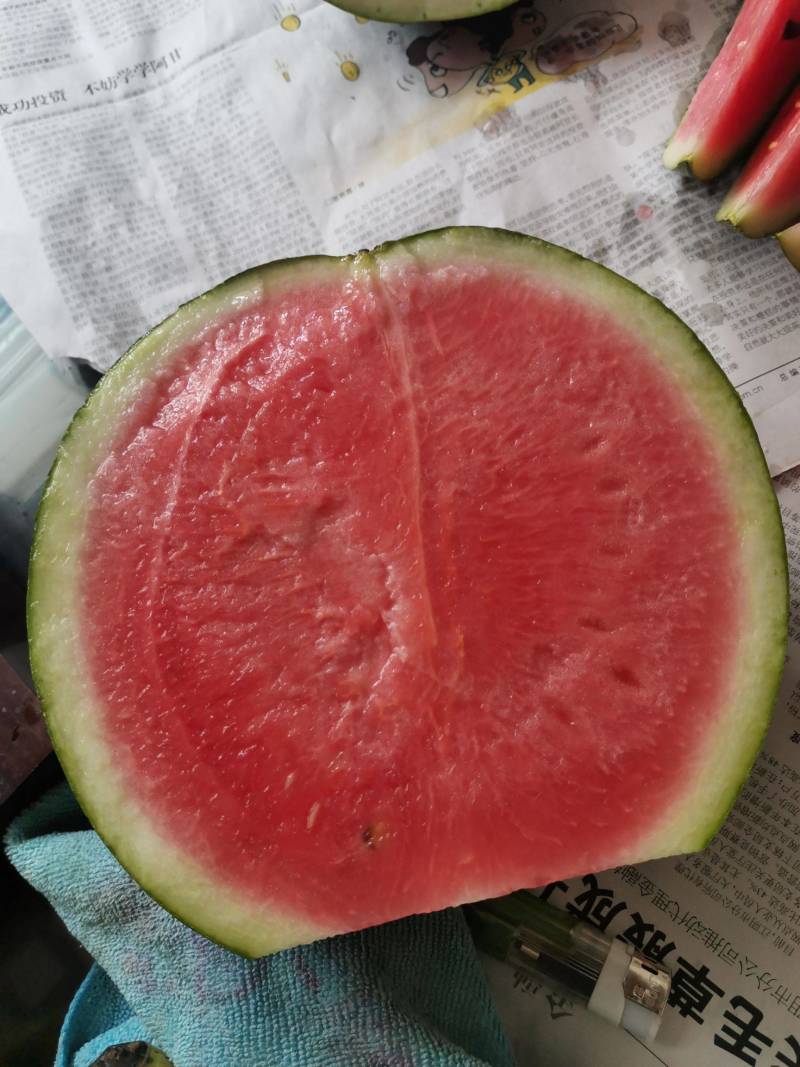 湖北西瓜精品西瓜美都西瓜产地直供个大皮薄甜度高欢迎咨询下单