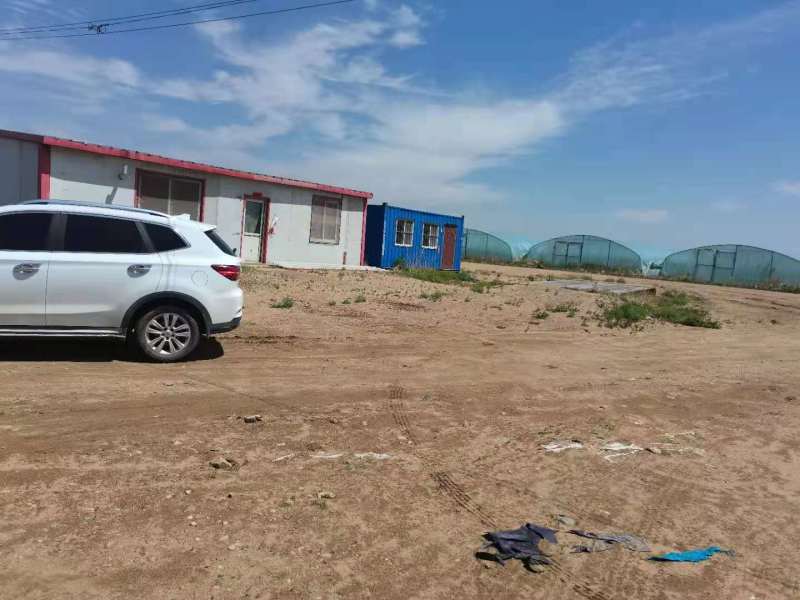山西鲜辣椒，优质尖椒大量上市，产地直销，一手货源