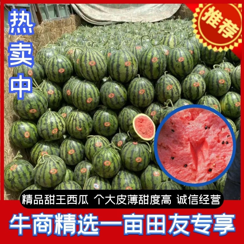 【热卖】甜王西瓜产地直供，口感香甜，保质保量，欢迎联系下单