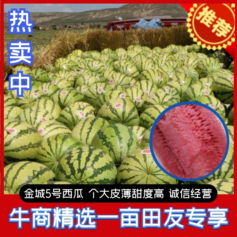 湖北西瓜硒砂瓜石头瓜产地直发大量上市可视频看货欢迎联系下单