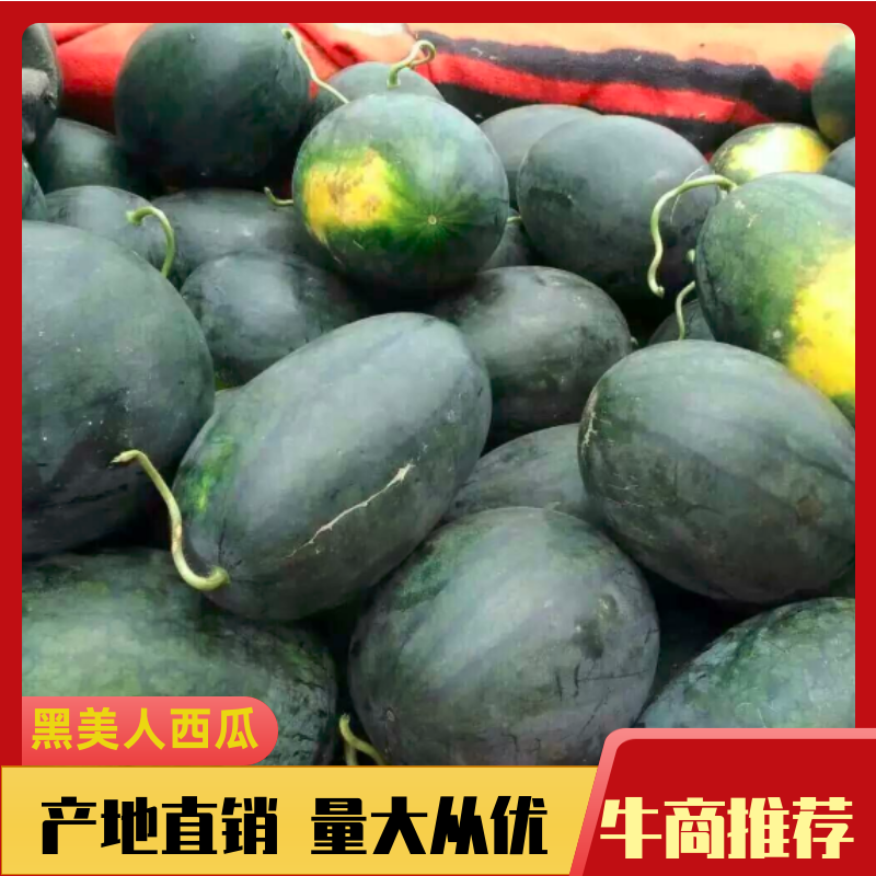 精品西瓜一手货源量大优惠