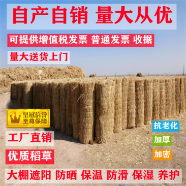 草苫子草帘江苏草苫子专业供应稻草用品