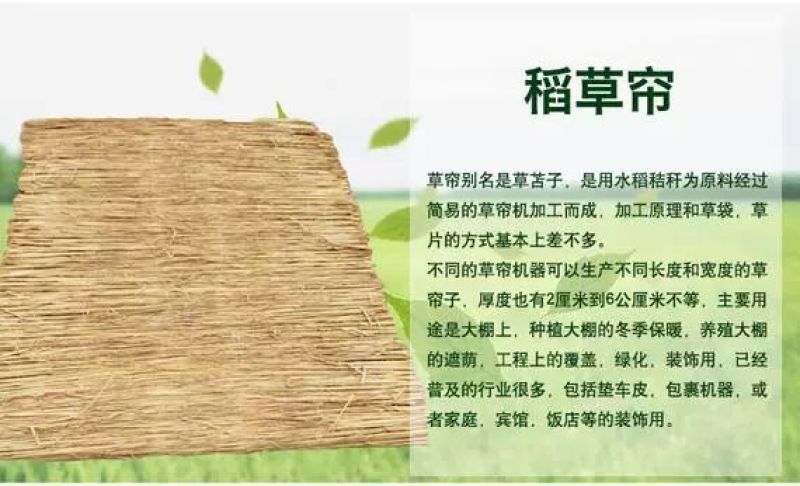 草苫子草帘江苏草苫子专业供应稻草用品