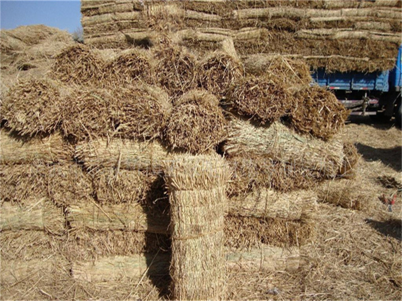 草苫子草帘江苏草苫子专业供应稻草用品