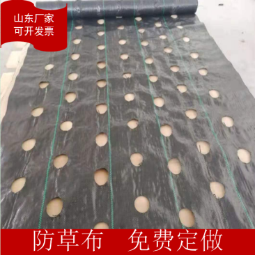 打孔防草布除草布抗老化果园除草布农用园林地布耐用
