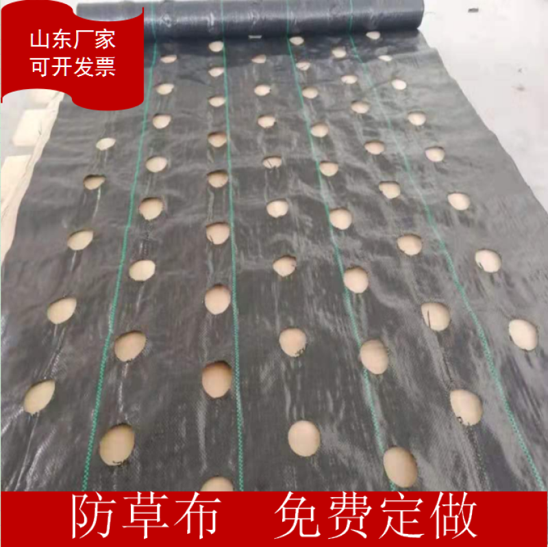 打孔防草布除草布抗老化果园除草布农用园林地布耐用