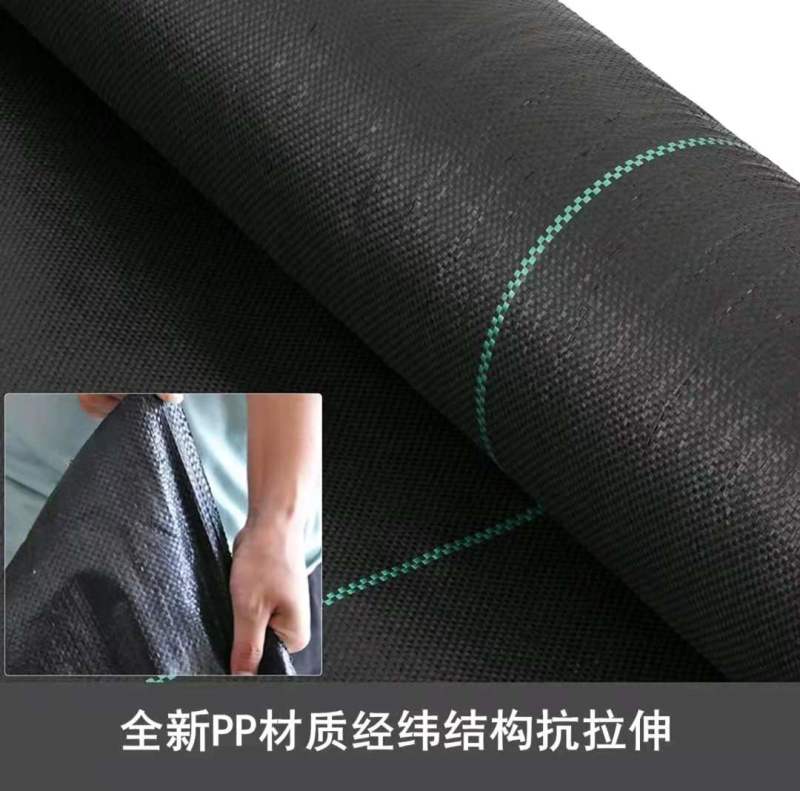 打孔防草布除草布抗老化果园除草布农用园林地布耐用
