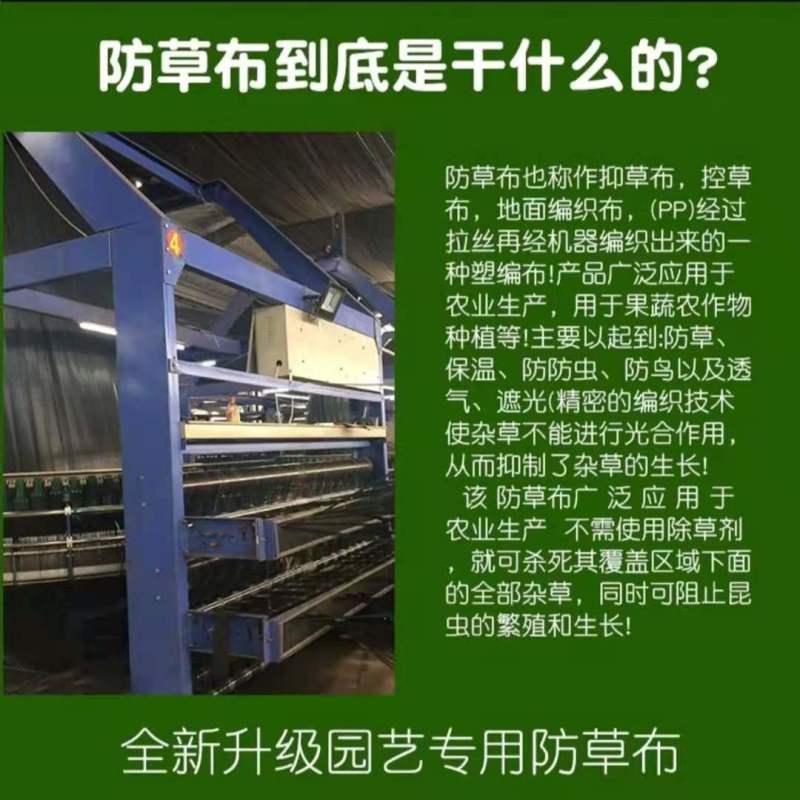 打孔防草布除草布抗老化果园除草布农用园林地布耐用