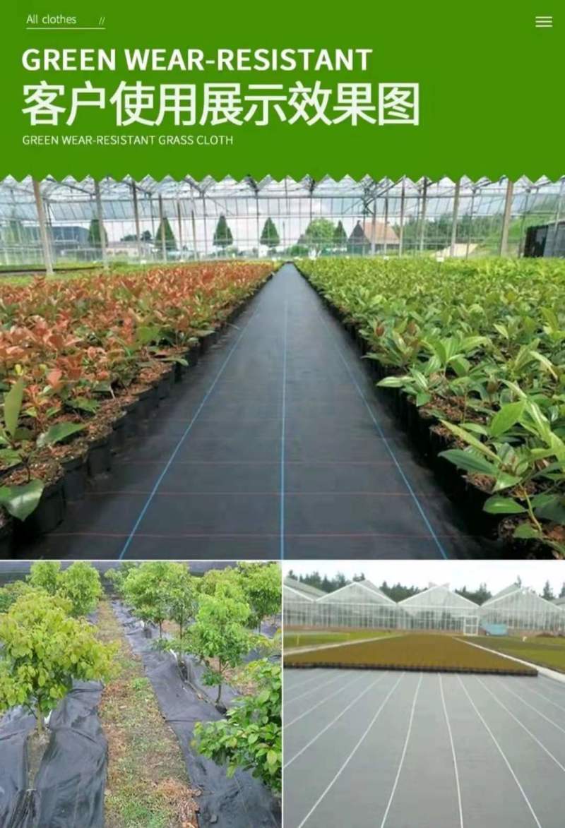 打孔防草布除草布抗老化果园除草布农用园林地布耐用