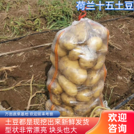 [土豆批发]宝昌沽源高端709,希森,v7马铃薯天天一对一发车;价格0.