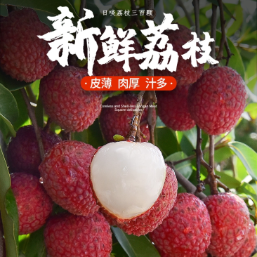 广东荔枝品种齐全，价格美丽，量大从优，可供电商，市场商超