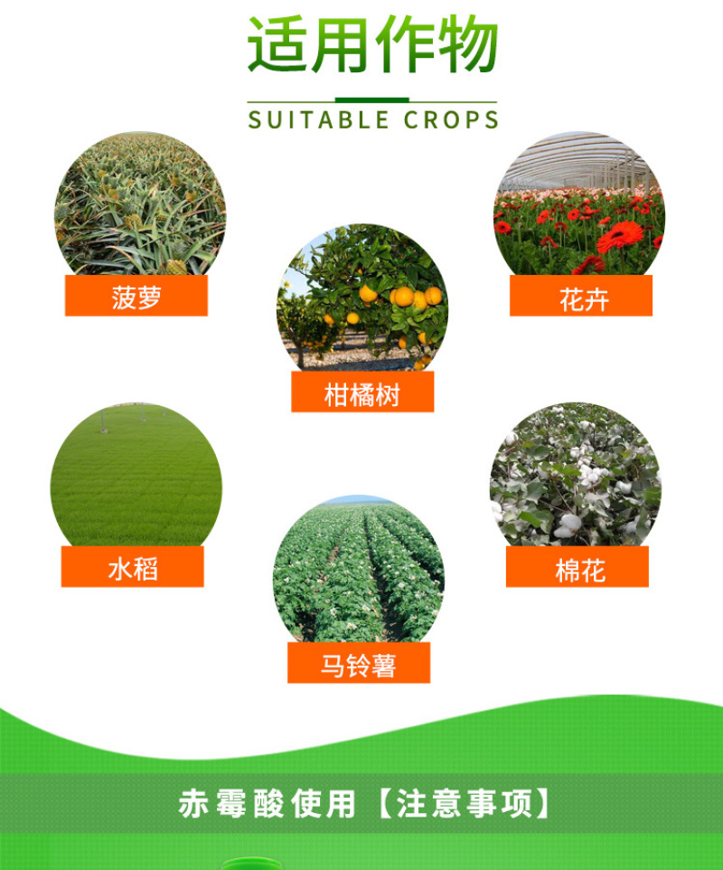 上海同瑞3%赤霉酸赤霉素920促芽分化苗齐植物生长调节剂