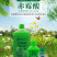 上海同瑞3%赤霉酸赤霉素920促芽分化苗齐植物生长调节剂