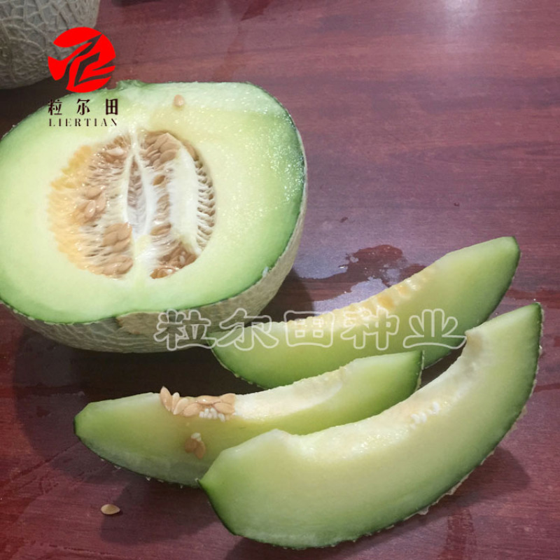 绿肉脆蜜甜瓜种子哈密瓜种植网纹甜瓜种籽甜脆绿肉脆肉