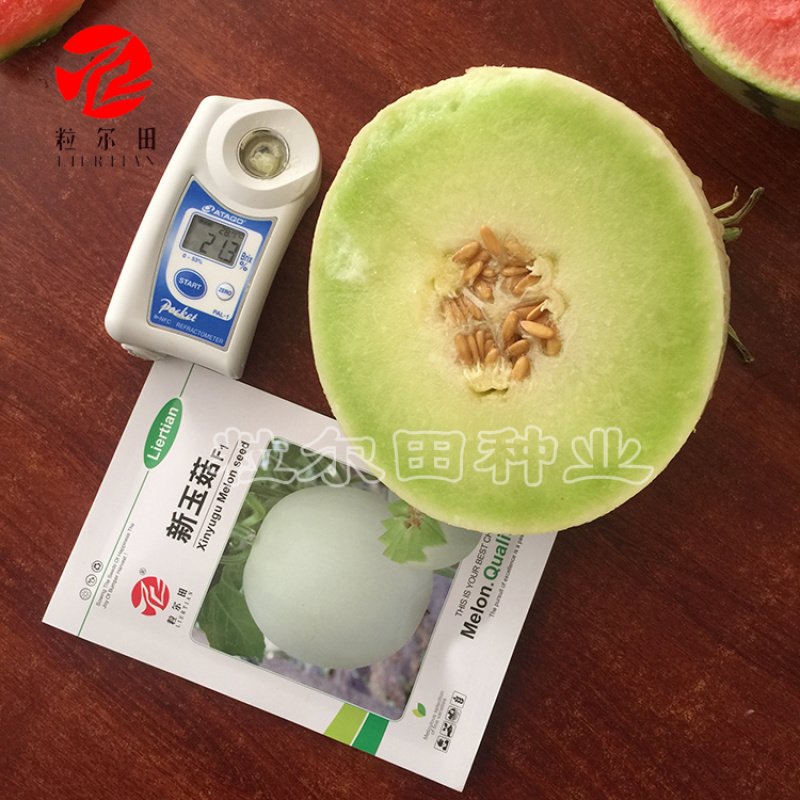 新玉菇甜瓜种子玉姑蜜瓜种籽厚皮甜瓜软糯香甜甜瓜种子