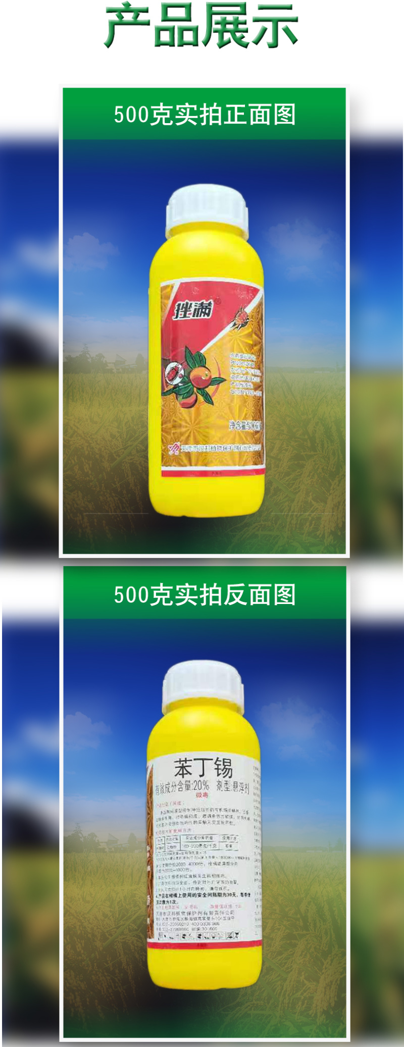 挫螨20%苯丁锡红蜘蛛专用药柑橘树专用杀螨剂整箱批发