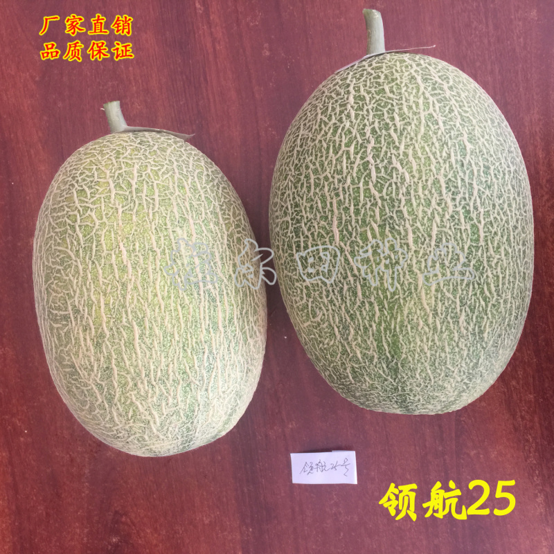 领航25哈蜜瓜种子甜瓜种子300粒装温室大棚用种