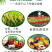 甲维·氟铃脲甘蓝小菜蛾稻纵卷叶螟虫钻心虫食心虫杀虫剂