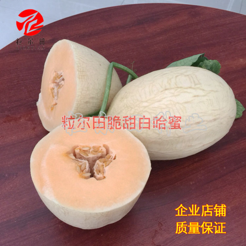 粒尔田脆甜白哈密果肉橙红肉质紧脆清甜可口