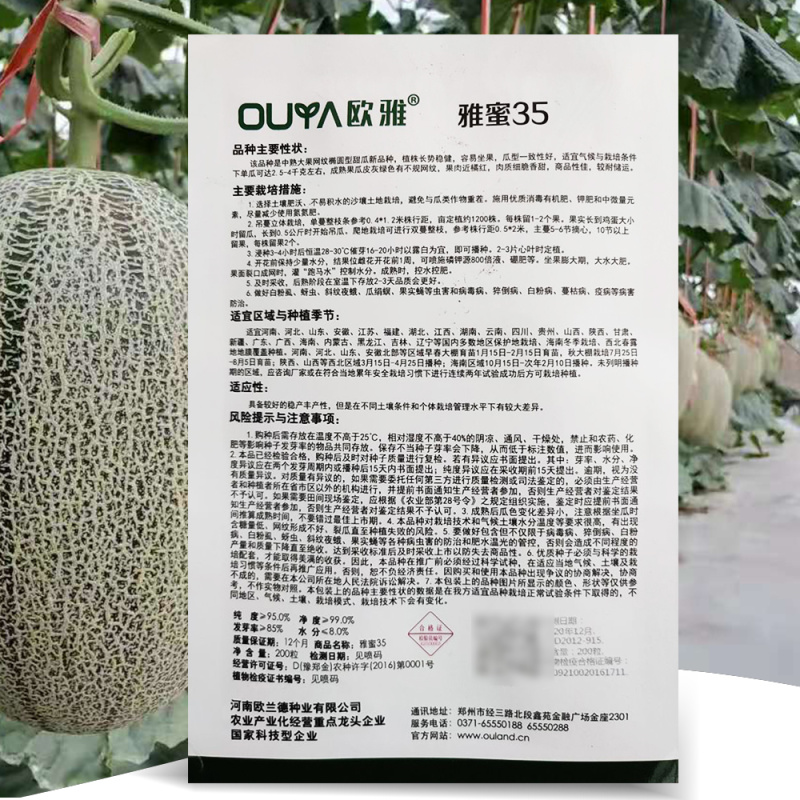 哈密瓜种子网纹甜瓜种子西州蜜25号种子冰淇淋网纹蜜瓜种子
