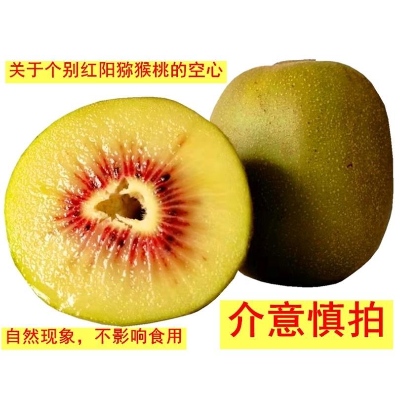 5斤红阳红心猕猴桃商品果产地直发售后无忧