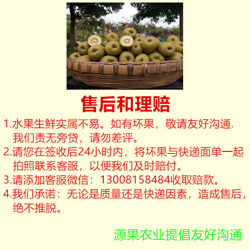 5斤红阳红心猕猴桃商品果产地直发售后无忧
