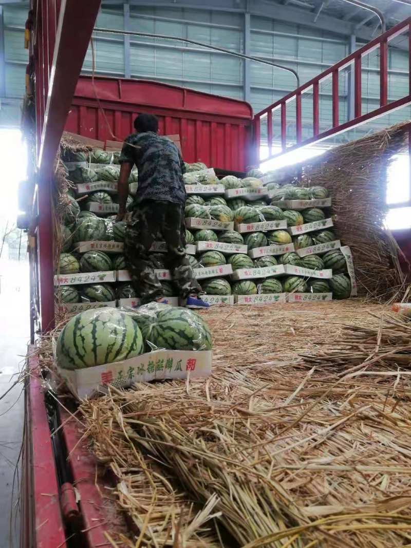 精品无籽美都美都麒麟西瓜产地直供现摘现发皮薄
