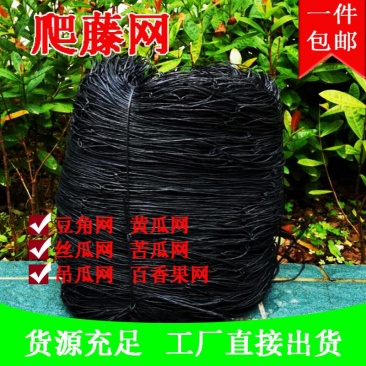 爬藤网果网苦瓜丝瓜网瓜果搭架专用植物攀爬网藤蔓网尼龙网豆