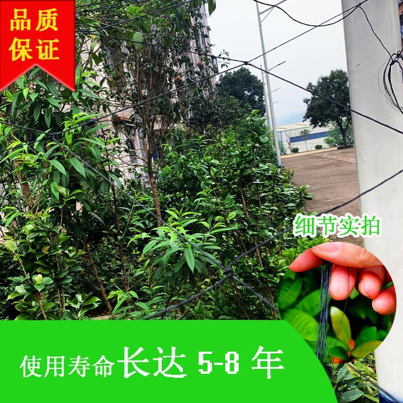 爬藤网果网苦瓜丝瓜网瓜果搭架专用植物攀爬网藤蔓网尼龙网豆