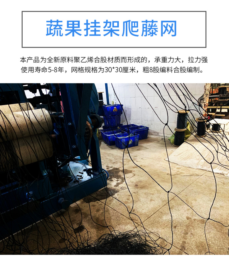 爬藤网果网苦瓜丝瓜网瓜果搭架专用植物攀爬网藤蔓网尼龙网豆