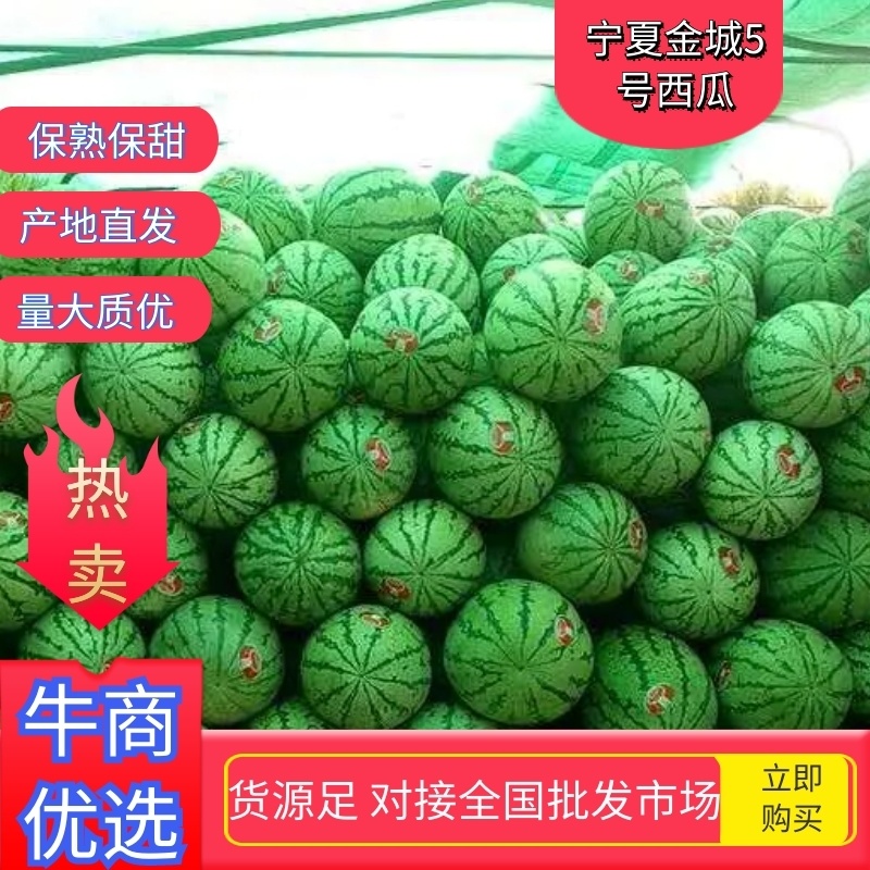 【推荐】宁夏金城5号西瓜包熟包甜一条龙服务欢迎来电咨询