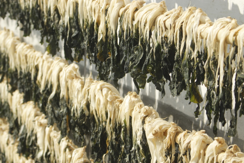 广东白菜干自产自销干净无沙农家自产煲汤料/汤料好物