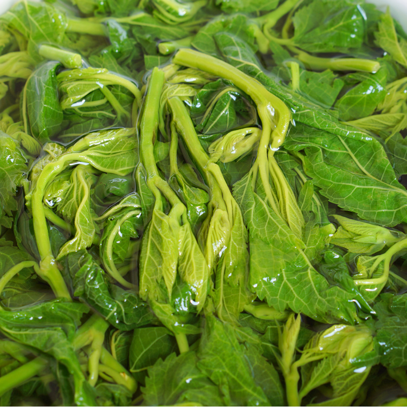 桑芽菜冰鲜桑芽/英德特产/美味爽口/尝鲜价/鲜嫩美味