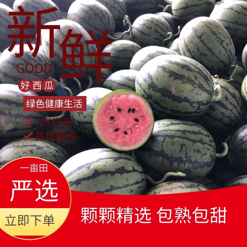 【推荐】山东潍坊2K红玉西瓜，小西瓜基地直销精选品质
