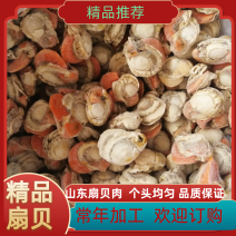 带黄扇贝肉北城红贝长岛扇贝肉皇冠贝红贝长年加工