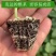 【辣椒苗】【推荐】加长指天椒苗朝天椒：苗场直供全基质穴盘苗